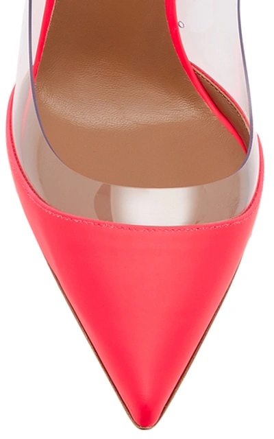 Shop Tabitha Simmons Allie Pvc And Leather Mules In Pink