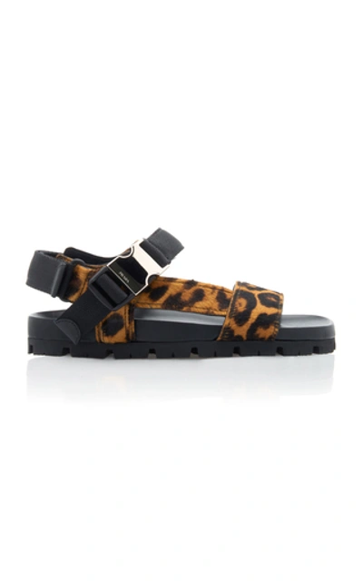 Shop Prada Buckled Leopard-print Calf Hair Sandals In Animal