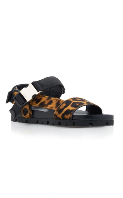 Shop Prada Buckled Leopard-print Calf Hair Sandals In Animal