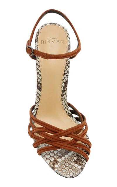 Shop Alexandre Birman Berthe Two-tone Snake-effect Leather Sandals In Animal