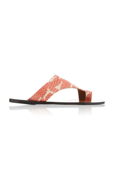 Shop Atp Atelier Roma Snake-effect Leather Sandals In Orange