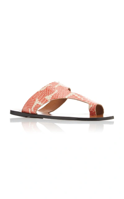 Shop Atp Atelier Roma Snake-effect Leather Sandals In Orange