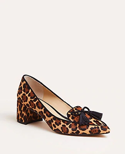 Shop Ann Taylor Rumer Leopard Print Haircalf Tassel Block Heel Pumps In Brown Multi