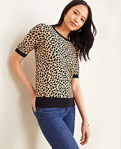 Shop Ann Taylor Cheetah Print Elbow Sleeve Sweater In Animal Print