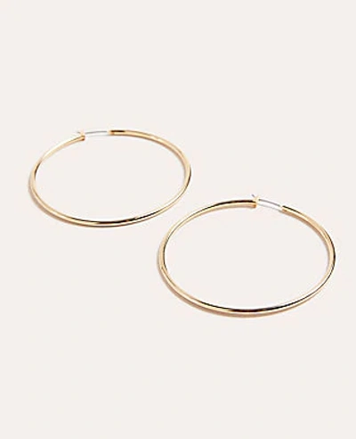 Shop Ann Taylor Essential Hoop Earrings In Gold