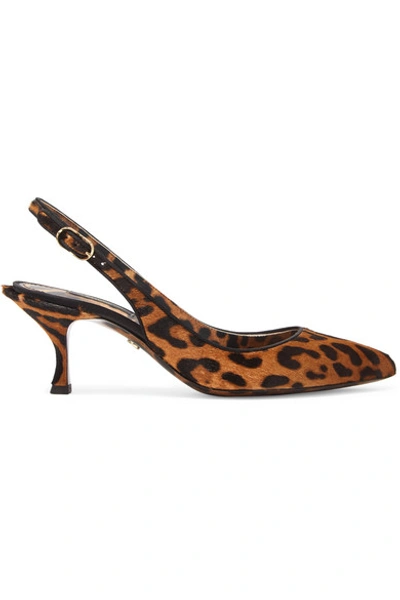 Shop Dolce & Gabbana Leopard-print Calf Hair Slingback Pumps In Leopard Print