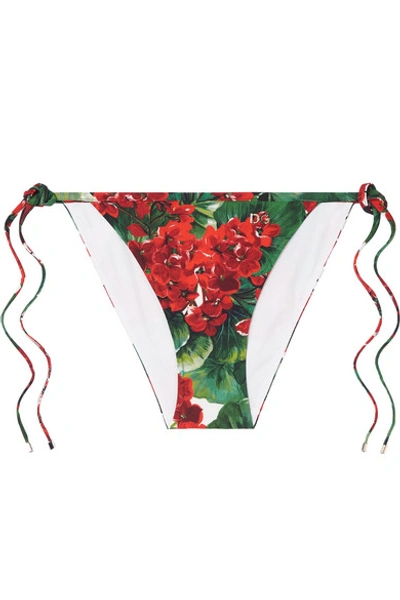Shop Dolce & Gabbana Floral-print Bikini Briefs In Red