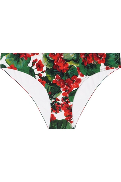 Shop Dolce & Gabbana Portofino Floral-print Bikini Briefs In Red