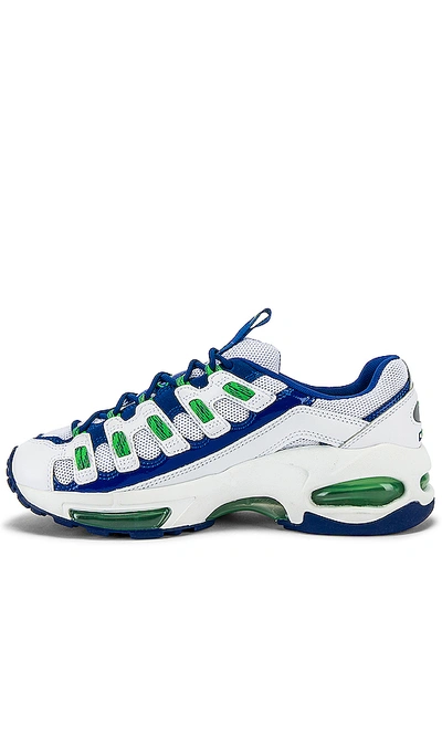 Shop Puma Cell Endura Patent 98 In  White & Andean Toucan