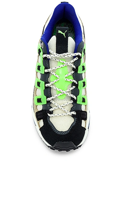 Shop Puma X Sankuanz Cell Endura Sneaker In Cloud Cream & Green Gecko