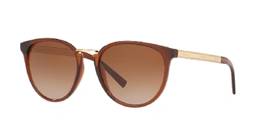 Shop Versace Woman  Ve4366 In Brown