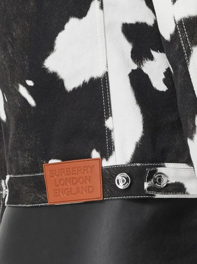 Shop Burberry Cow Print Denim Jacket In Black
