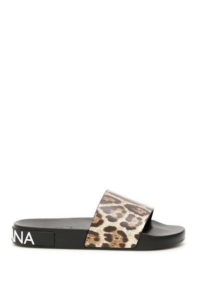 Shop Dolce & Gabbana Barth Slides With Leopard Print In Leo Macchia Marrone (brown)