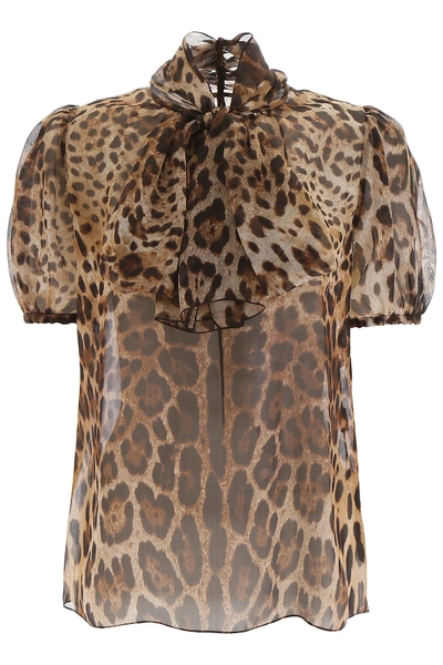 Shop Dolce & Gabbana Leopard Print Organza Blouse In Leo New (brown)