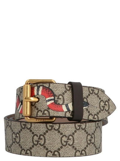 Shop Gucci 'gg Snake' Belt In Multicolor
