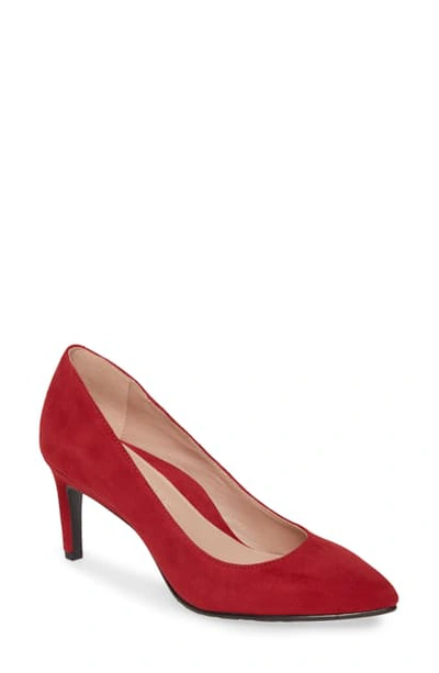 Shop Taryn Rose Collection Gabriela Pointy Toe Pump In Vino Suede