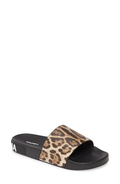 Shop Dolce & Gabbana Saint Barth Leopard Print Zlogo Slide Sandal