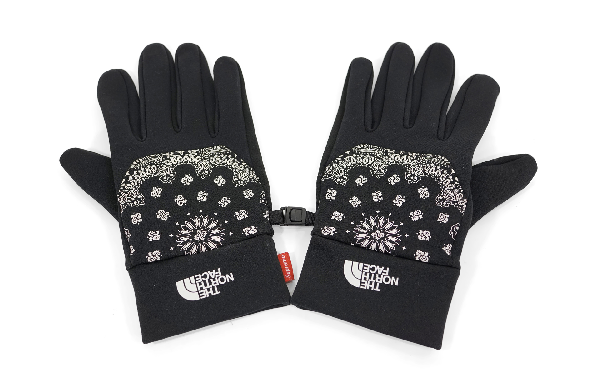 supreme north face gloves
