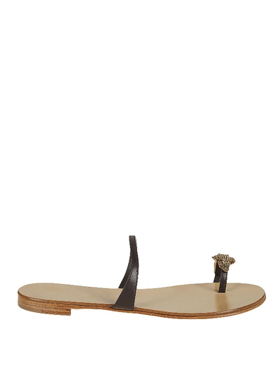 Shop Giuseppe Zanotti Ring Jewel Flat Calfskin Sandals In Brown