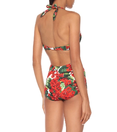 Shop Dolce & Gabbana High-rise Floral Bikini Bottoms In Multicoloured