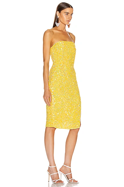 Shop Retroféte Arryn Dress In Yellow