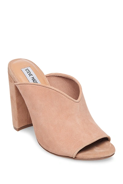 Steve madden deals vista