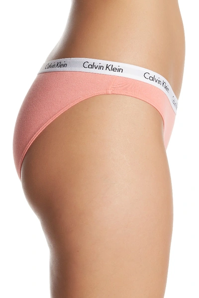 Shop Calvin Klein Carousel Bikini In Ev3 Evolve