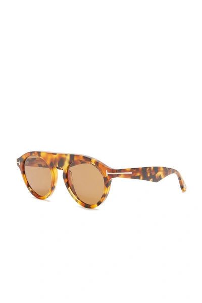 Shop Tom Ford Christopher 49mm Round Sunglasses In Colhav/brn
