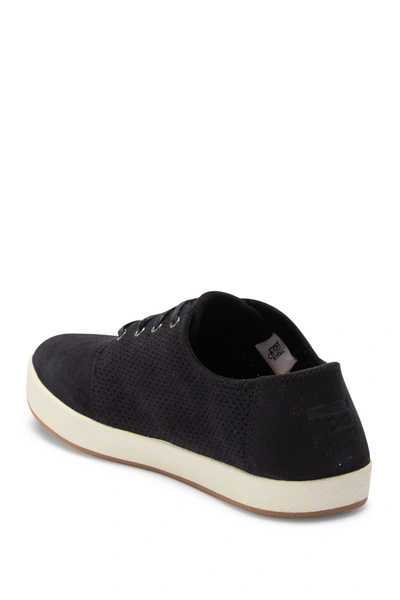 Shop Toms Payton Perforated Sneaker In Black