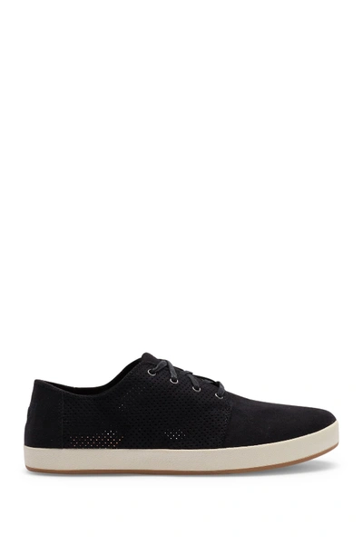 Shop Toms Payton Perforated Sneaker In Black