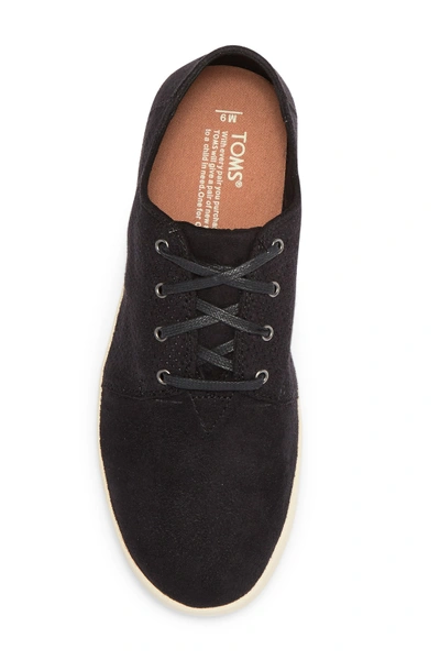 Shop Toms Payton Perforated Sneaker In Black