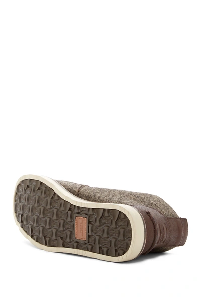 Shop Toms Brushed Wool Chukka Boot In Brown