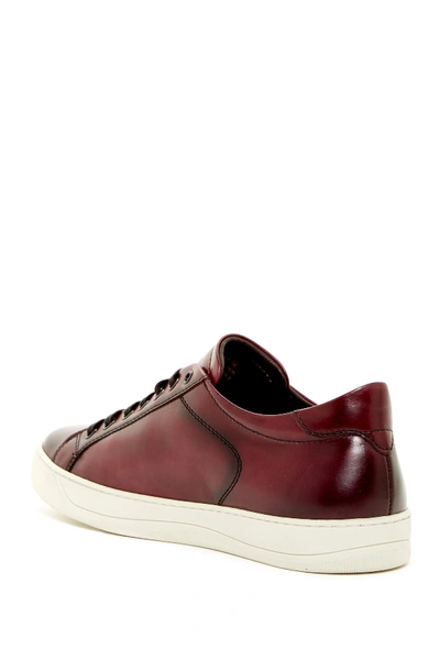 Shop Bruno Magli Westy Leather Sneaker In Bordo
