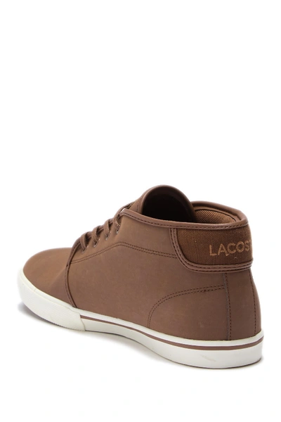 Lacoste Ampthill 119 1 Cma Sneaker In Brown/light Brown | ModeSens
