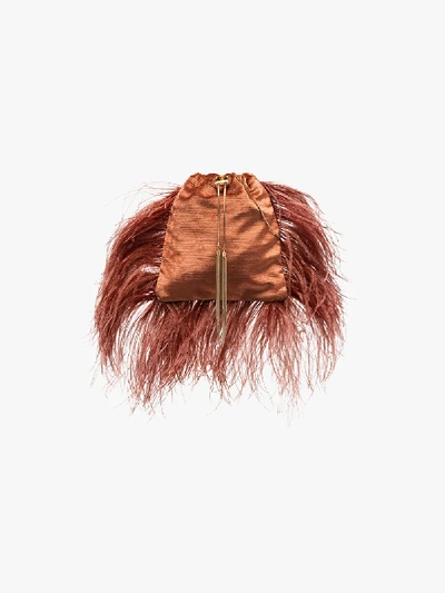 Shop Rosantica Brown Mademoiselle Feather Pouch Bag