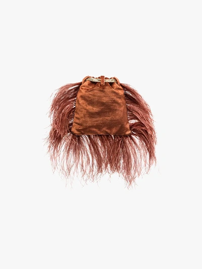 Shop Rosantica Brown Mademoiselle Feather Pouch Bag