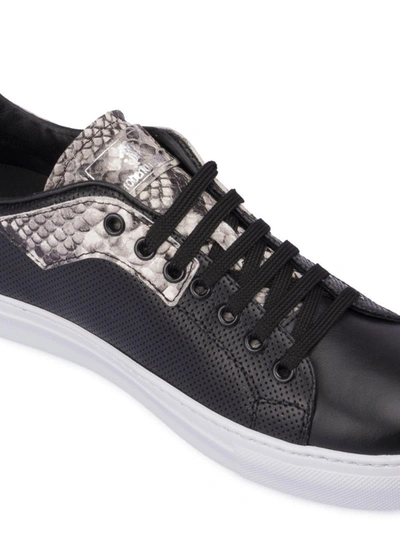 Shop Roberto Cavalli Snake Print Insert Leather Sneakers In Black