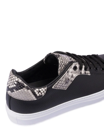 Shop Roberto Cavalli Snake Print Insert Leather Sneakers In Black