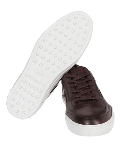 Shop Tod's Urban Style Leather Low Top Sneakers In Brown