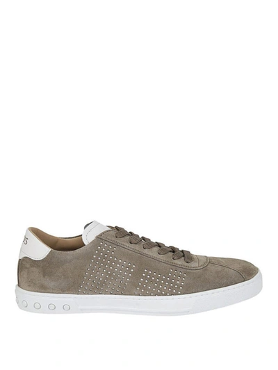 Shop Tod's Drilled Taupe Suede Sneakers