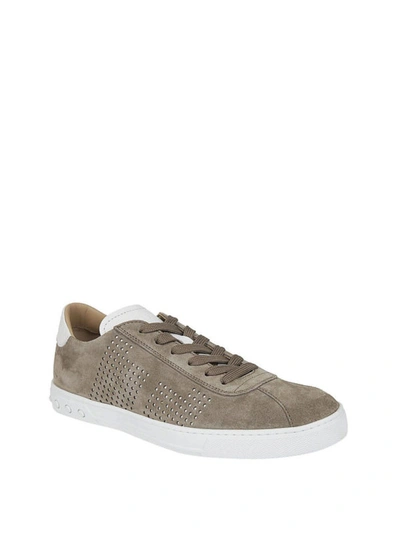Shop Tod's Drilled Taupe Suede Sneakers