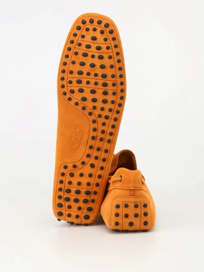 Shop Tod's New Laccetto Orange Suede Loafers In Light Orange