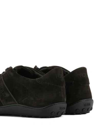 Shop Tod's Active Brown Suede Lace-up Sneakers In Dark Brown
