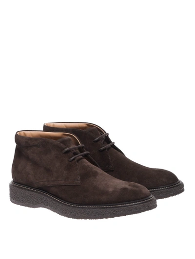 Shop Tod's Dark Brown Suede Desert Ankle Boots