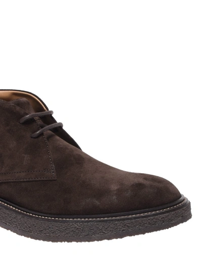 Shop Tod's Dark Brown Suede Desert Ankle Boots
