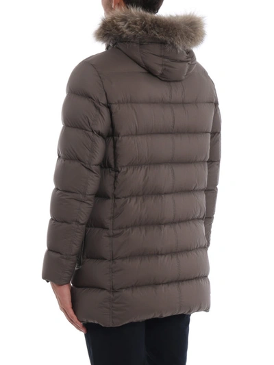 Shop Herno Il Parka Taupe Padded Coat