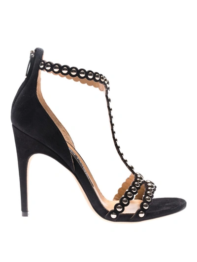 Shop Sergio Rossi Dafne Stud Embellished Sandals In Black