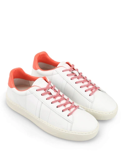 Shop Woolrich Rodi White Leather Sneakers
