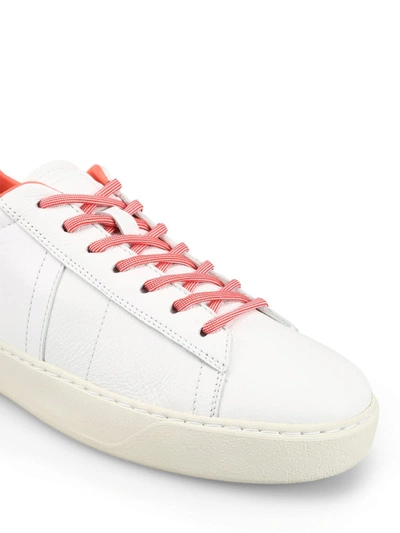 Shop Woolrich Rodi White Leather Sneakers