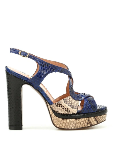 Shop L'autre Chose Python Leather Colourful Sandals In Blue